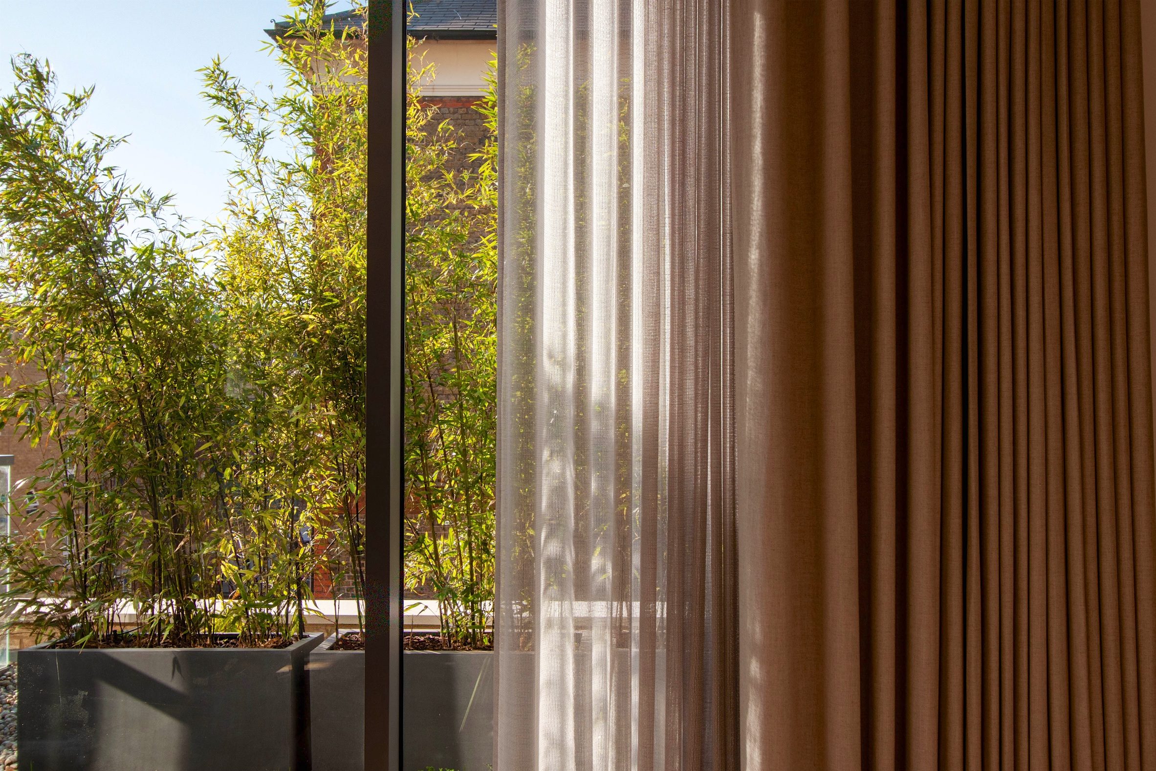 Bamboo planting outside the glazing, seen through a sheer curtain beside a slatted timber screen